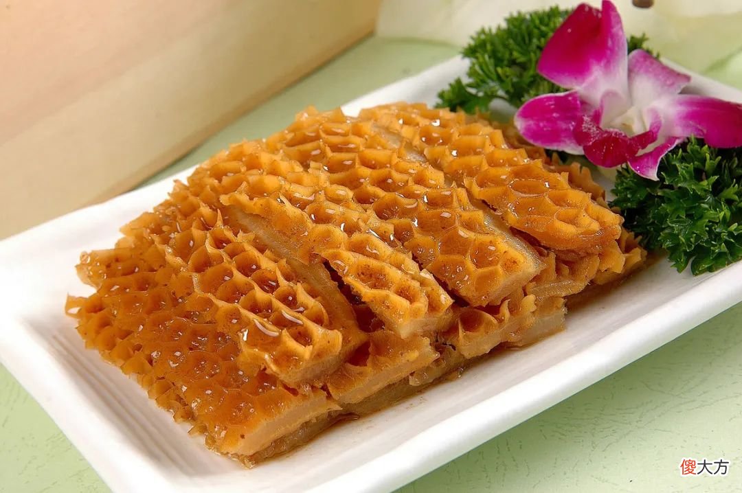 牛的四个胃都有啥用 牛的四个胃都有什么作用