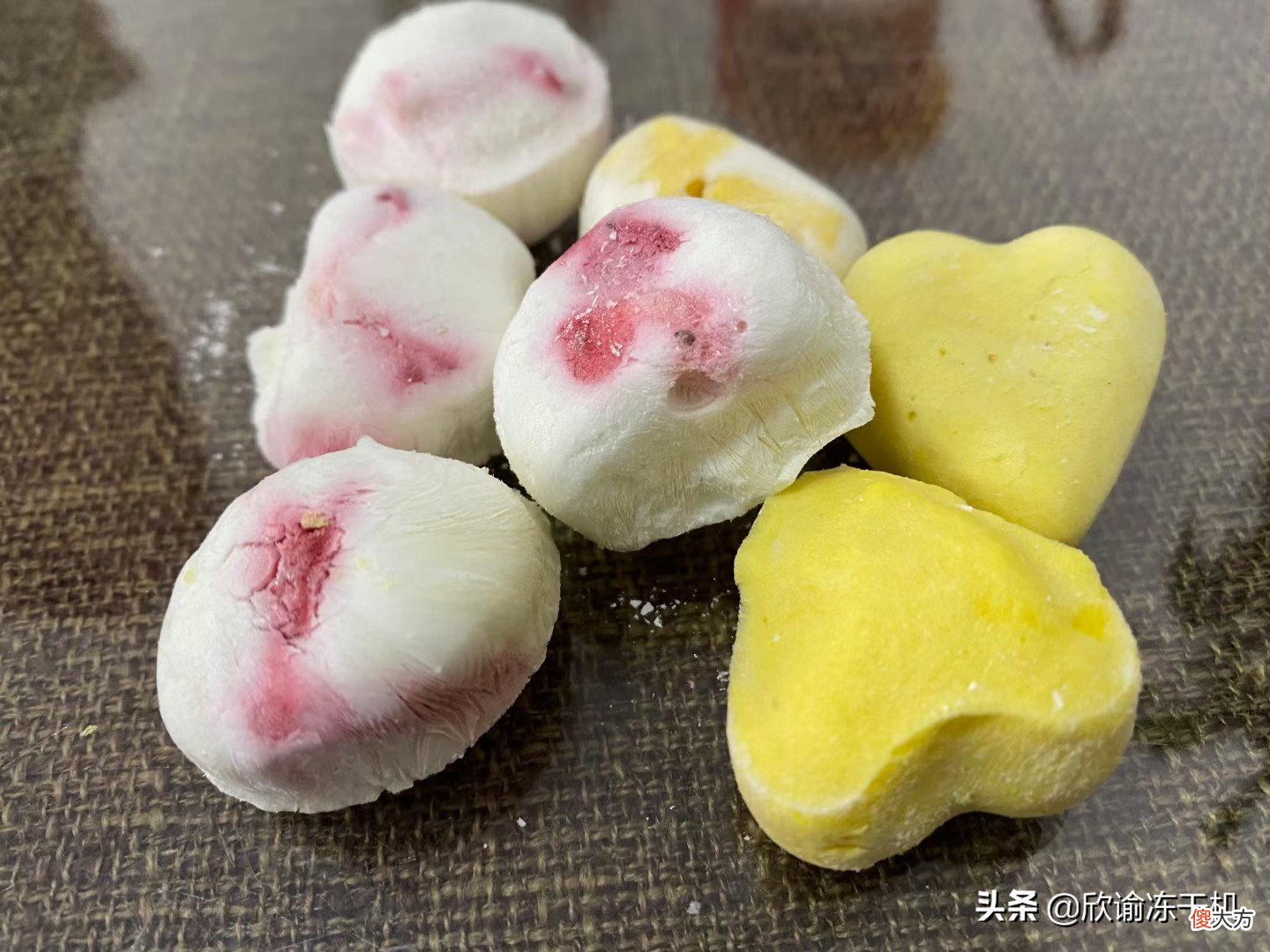 冰激凌冻干酸奶冷冻干燥机的原理和市场应用 酸奶冻干的做法
