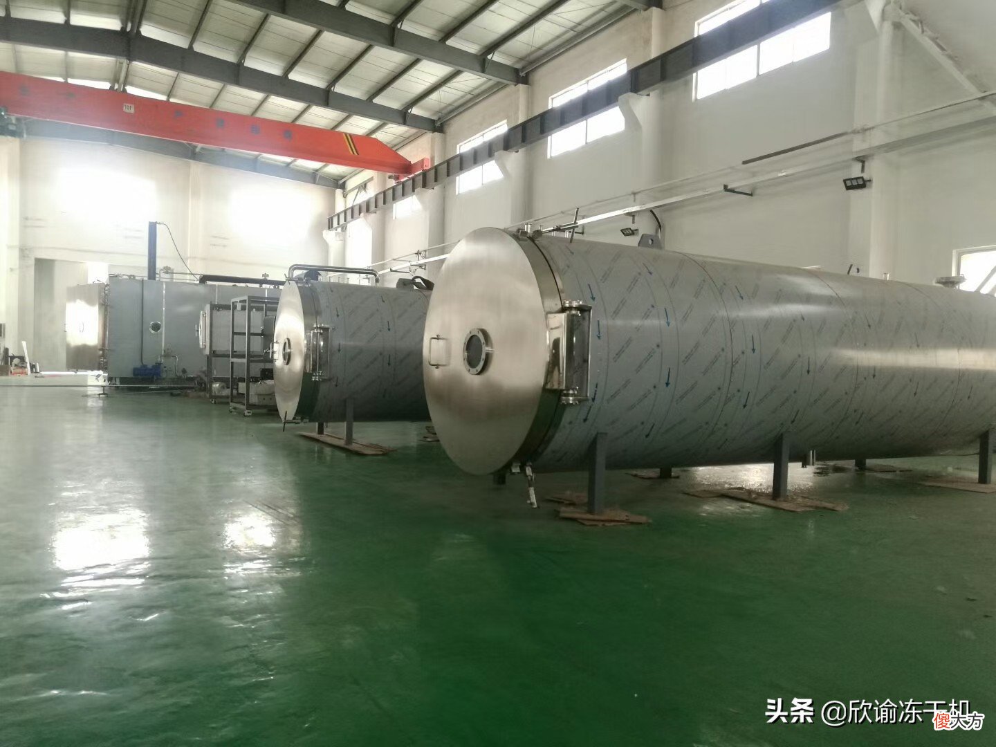 冰激凌冻干酸奶冷冻干燥机的原理和市场应用 酸奶冻干的做法
