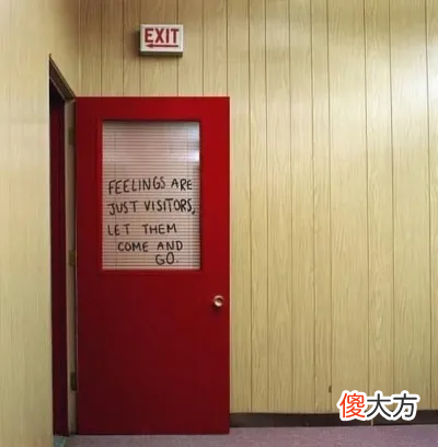 35岁的生活 35岁的生活作文