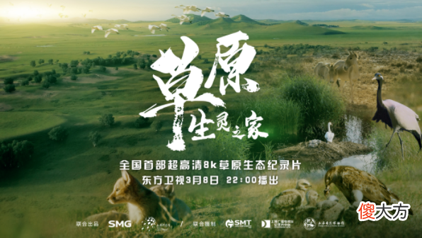 万物复苏的季节，用8K看草原上的动物世界——纪录片《草原，生灵之家》3月8日开播