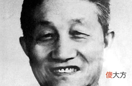 【爱历史】东北野战军第二兵团，政委是大将军衔，为什么司令员无军衔