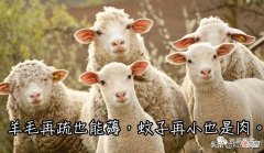 岩茶教室人手必备的学生证