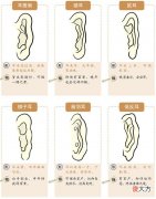 从耳朵看你智商寿命