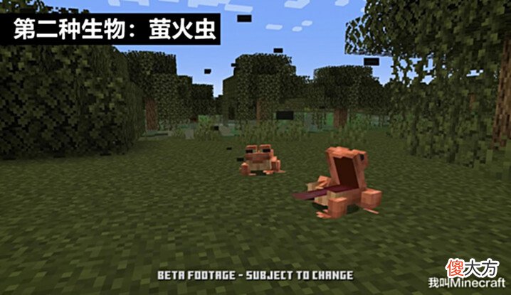 【游戏世界】我的世界秘密: Mojang是如何发明青蛙的? 青蛙的前身是“鳄鱼”!