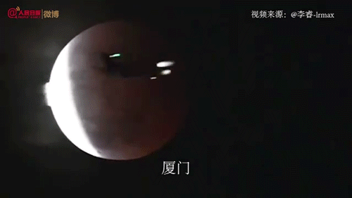绘尔森小艺术家们替你们画了 画森林的艺术家