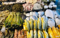 这5种海鱼多给家人吃 家庭食用海鱼有哪些