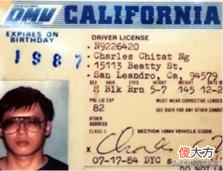 却在监狱吃成胖子 胖妞为什么进监狱