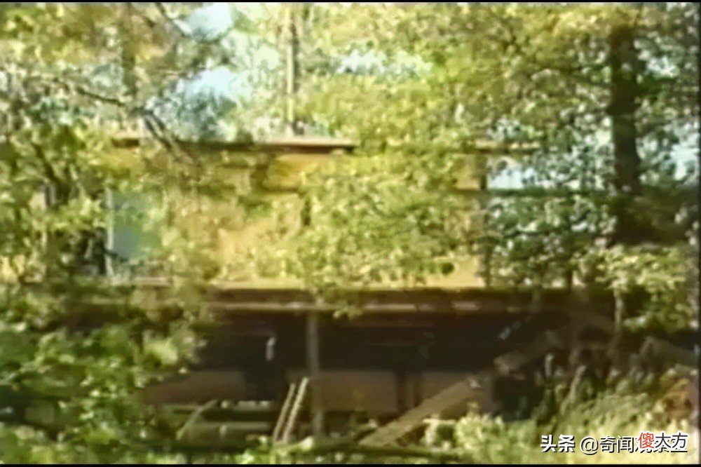却在监狱吃成胖子 胖妞为什么进监狱