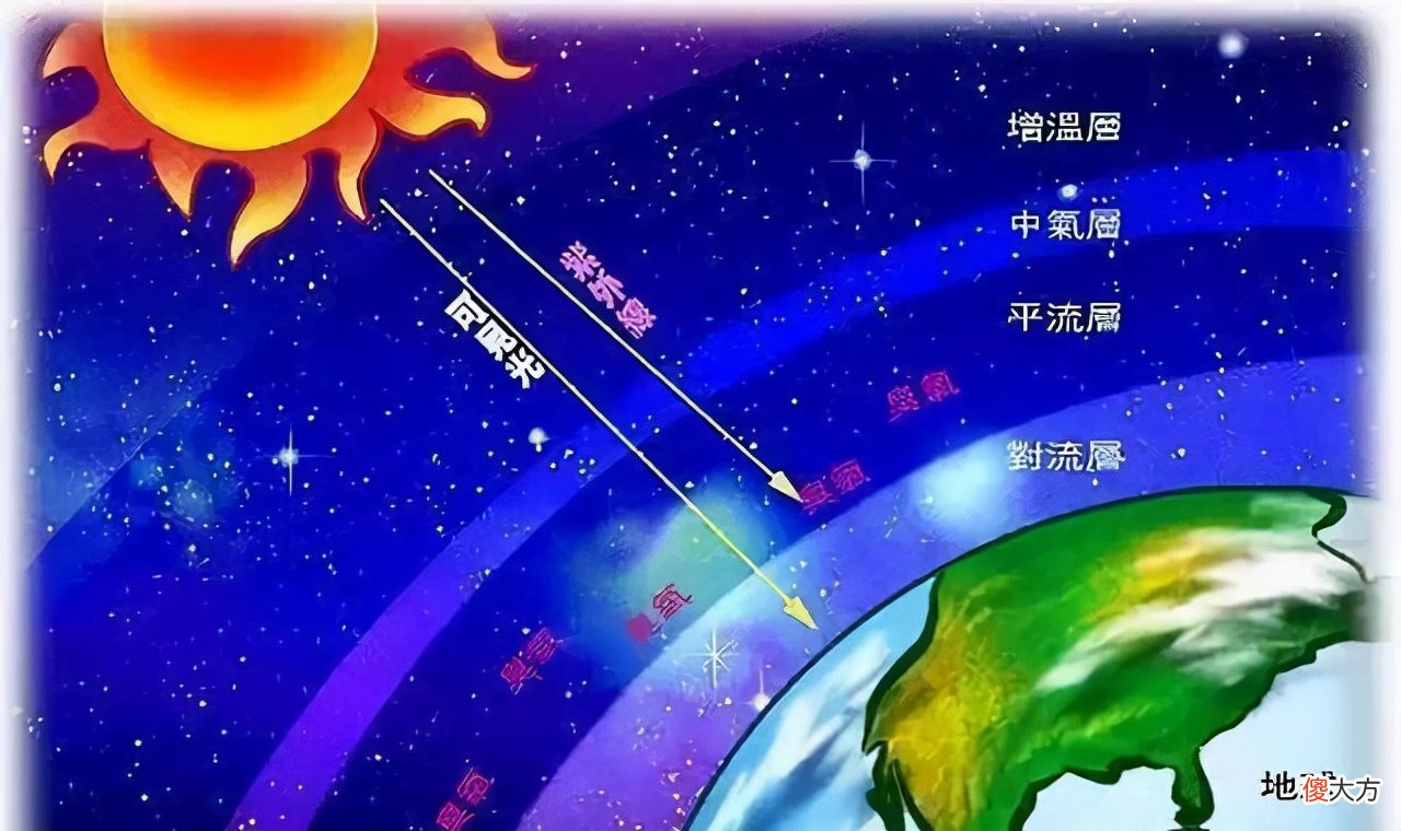 很多动物能看到紫外线 动物能看见紫外线