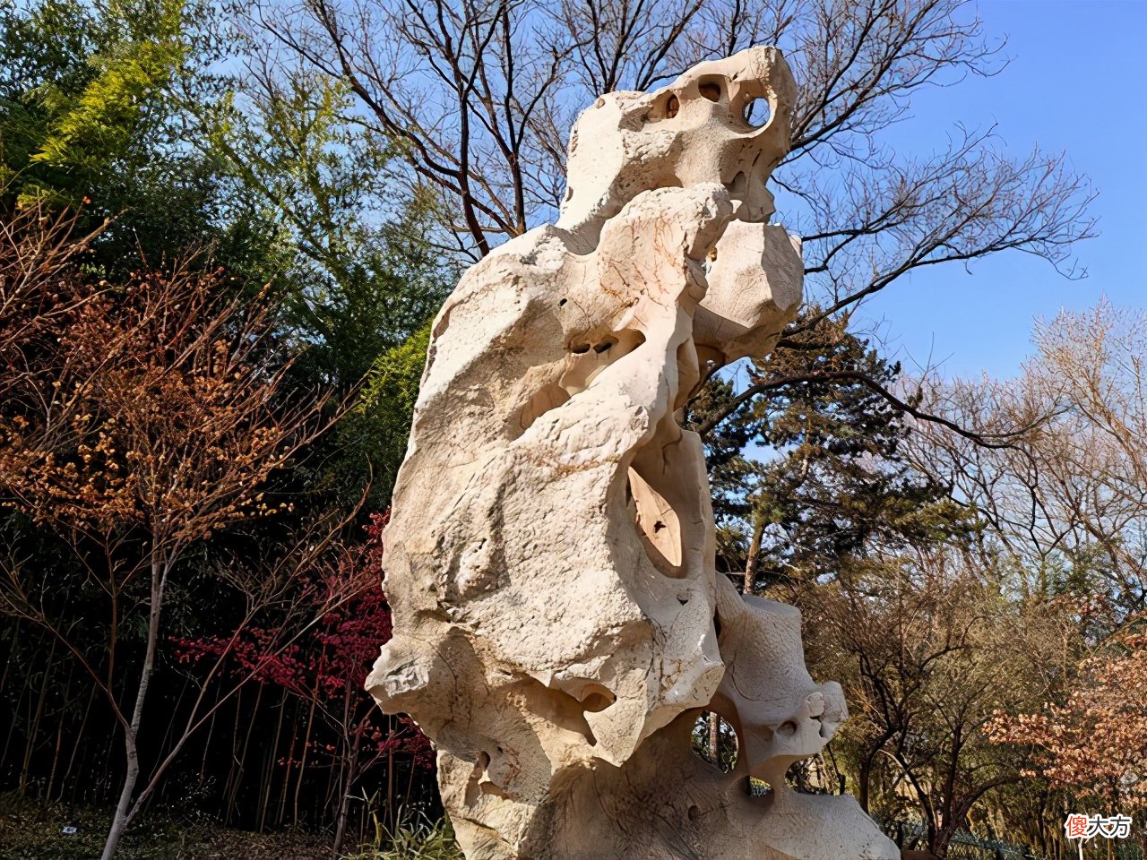 3599元起荣耀V40评测 荣耀v40手机评测