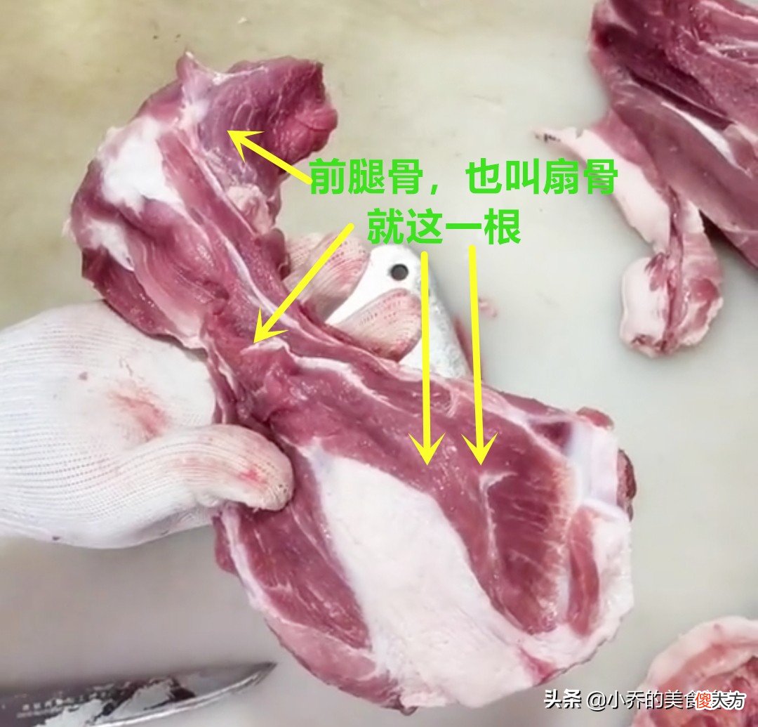 教你认识猪身不同部位的骨头 猪身上各部位的骨头