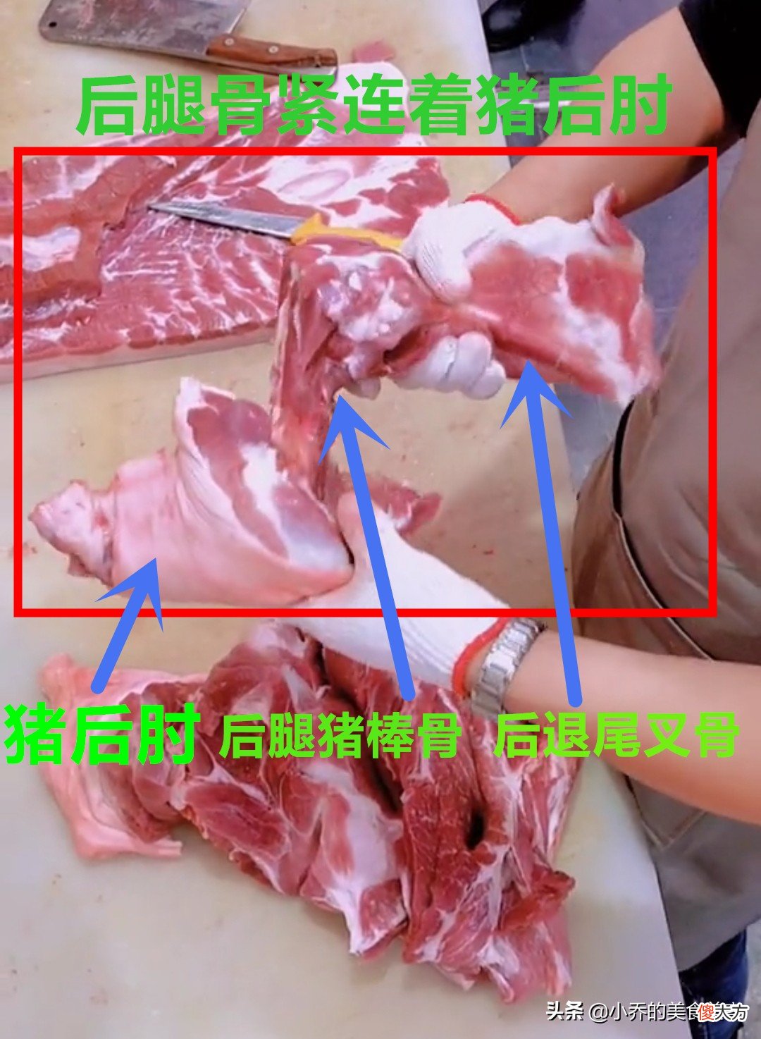 教你认识猪身不同部位的骨头 猪身上各部位的骨头
