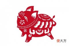 属猪人2020年运势及运程
