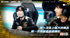 【游戏世界】大仙认可1狼等于16妖！狼队总决赛4遇ES，Fly妖刀行为放狠话吓SK