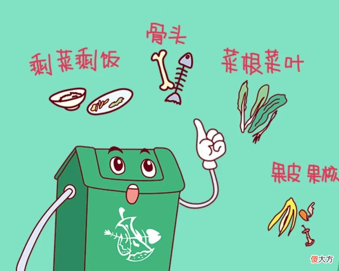 垃圾桶里凭空冒出来的小飞虫到底是什么 垃圾桶里凭空冒出来的小飞虫到底是什么? 画