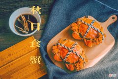 比吃大闸蟹过瘾 我喜欢吃大闸蟹