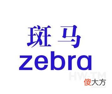 斑马是在白底上长的黑条 斑马是白底黑条纹
