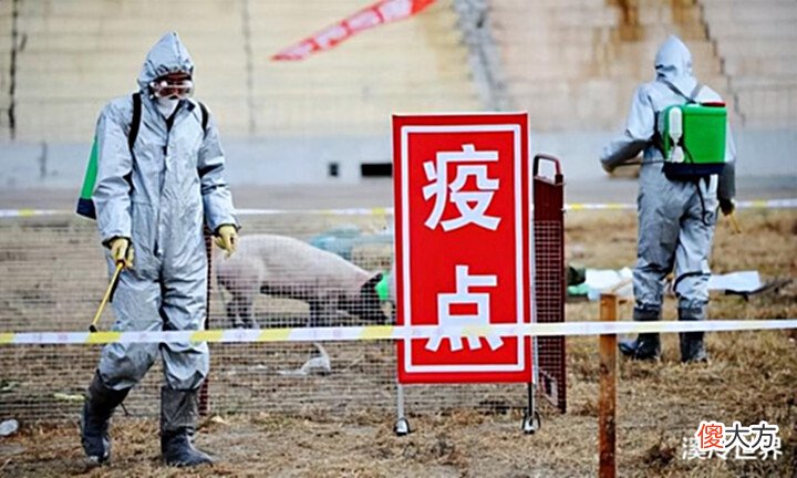 【历史故事】会有第三次世界大战吗? 看完一战、二战, 你的看法会有巨大变化