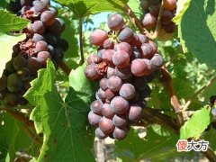 红酒店怎么经营 开酒店的人都很有钱吗