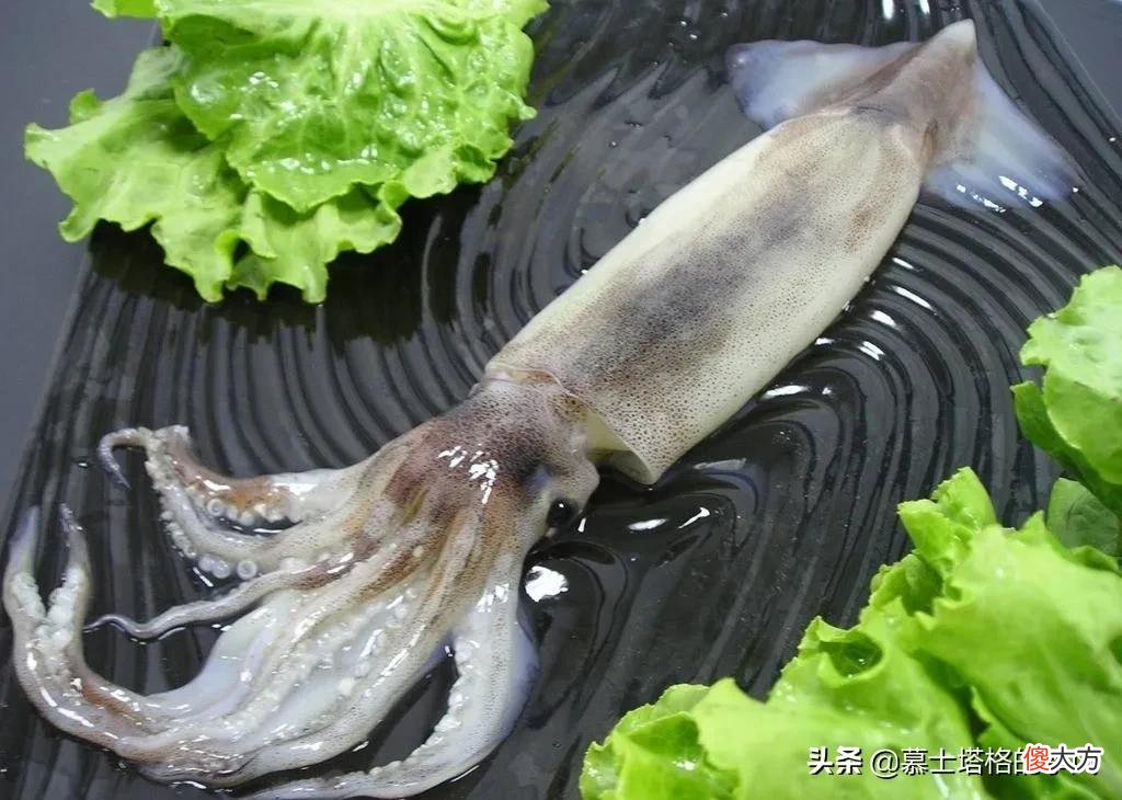 全国各地最好吃的饺子都在这里了 中国哪里的饺子最好吃