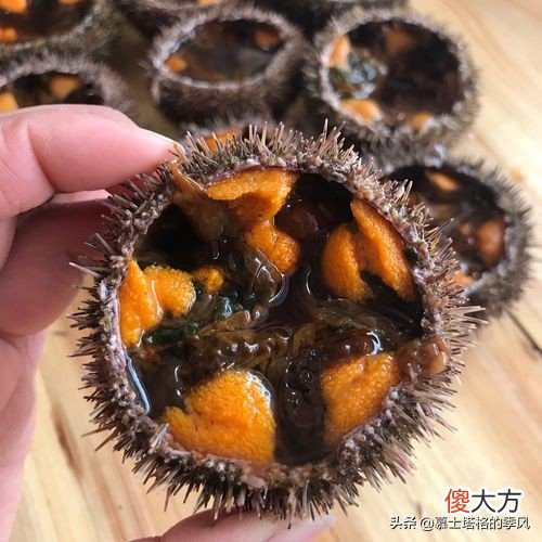 全国各地最好吃的饺子都在这里了 中国哪里的饺子最好吃