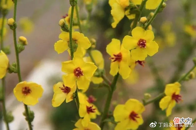 最近皮肤好到爆炸 科学大爆炸皮肤怎么样