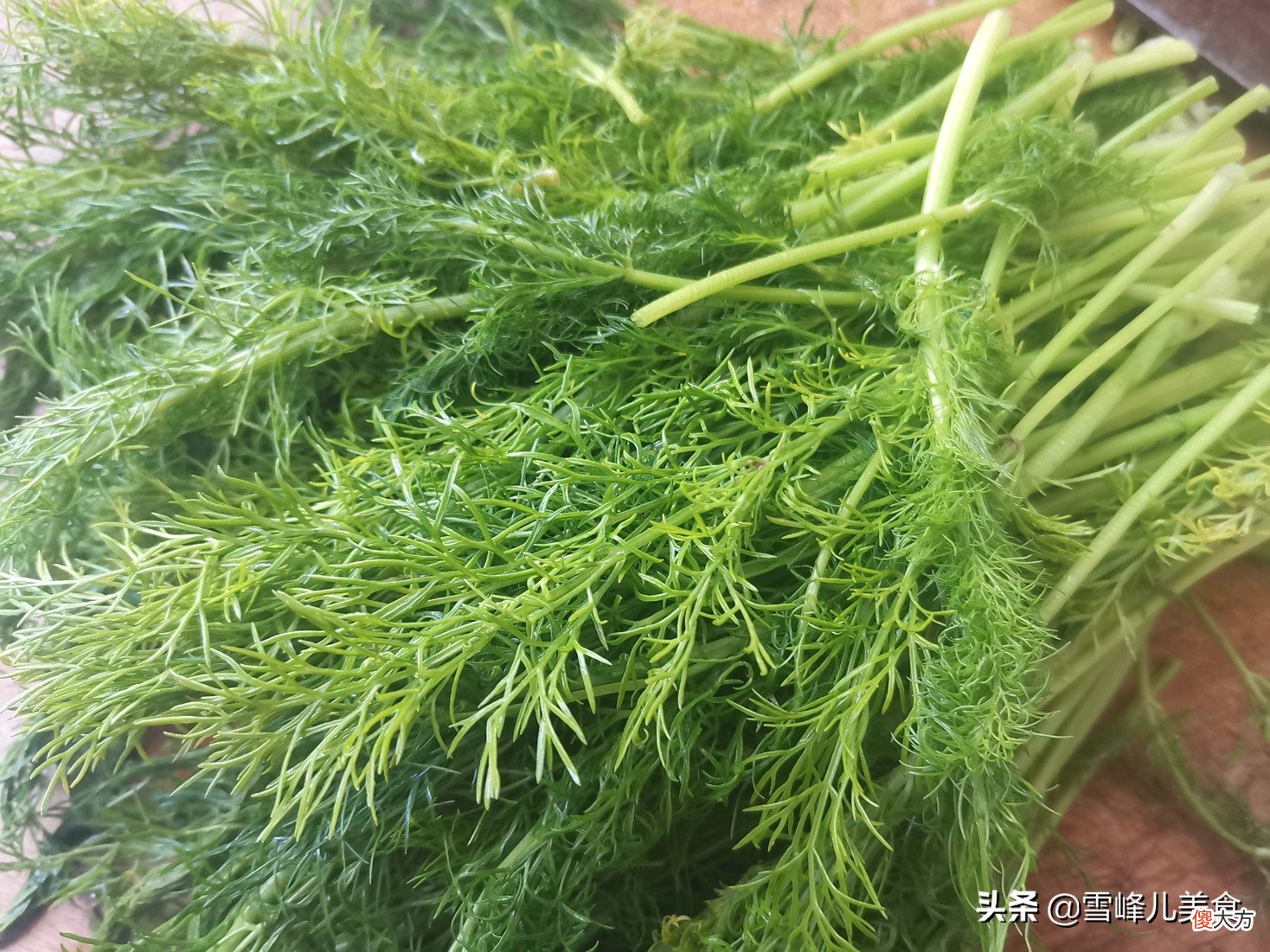 夏天吃饺子这馅真好吃 夏天吃馅的饺子比较好