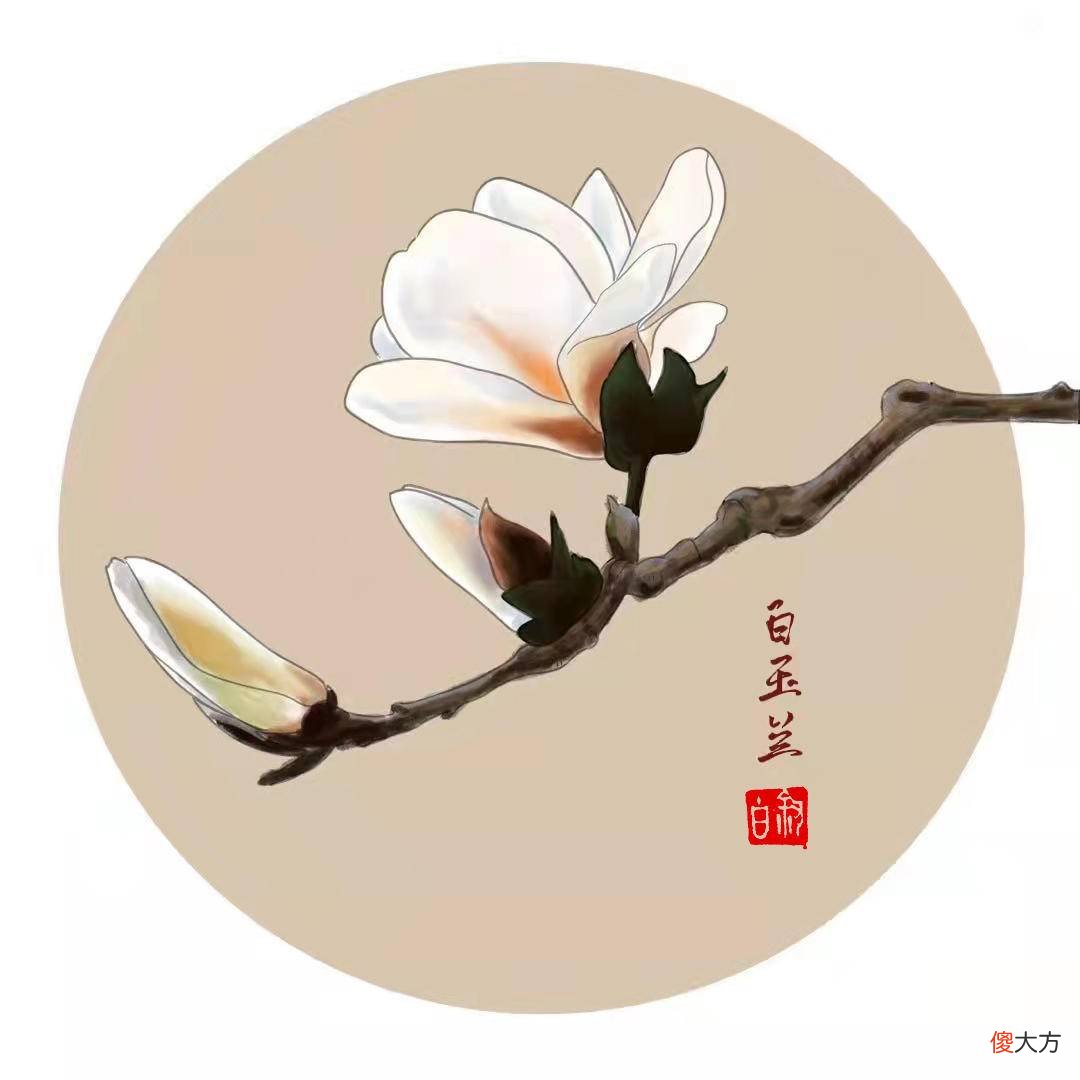 哪一种玉兰花最香 什么品种玉兰花最香