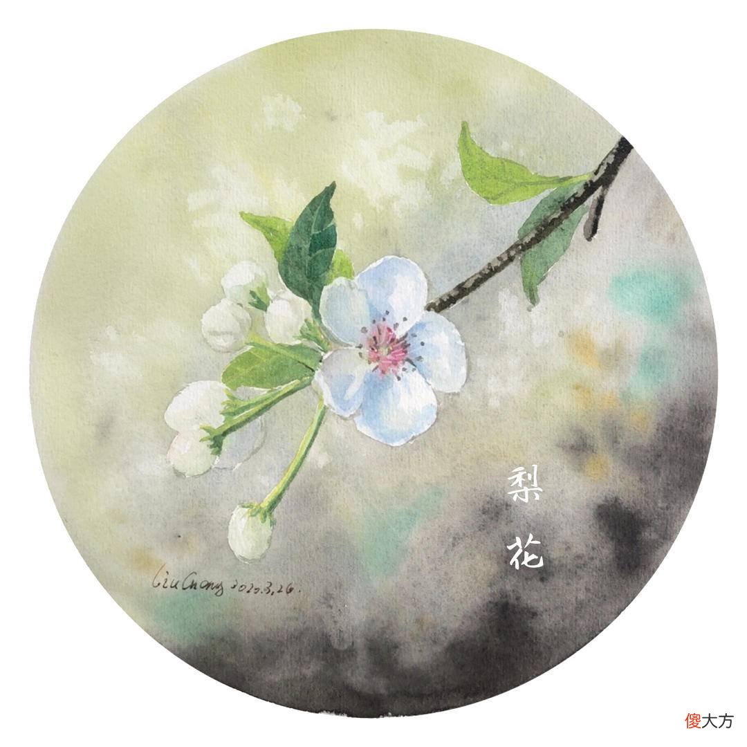 哪一种玉兰花最香 什么品种玉兰花最香