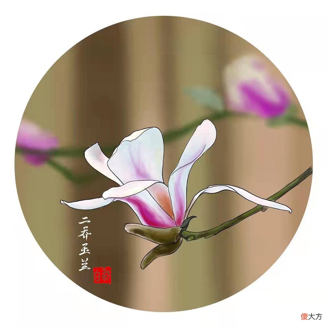 哪一种玉兰花最香 什么品种玉兰花最香