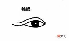 什么是鹤眼,鹤眼详解！