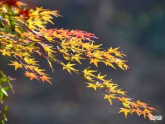 可误浮生多少年 浮生能几许