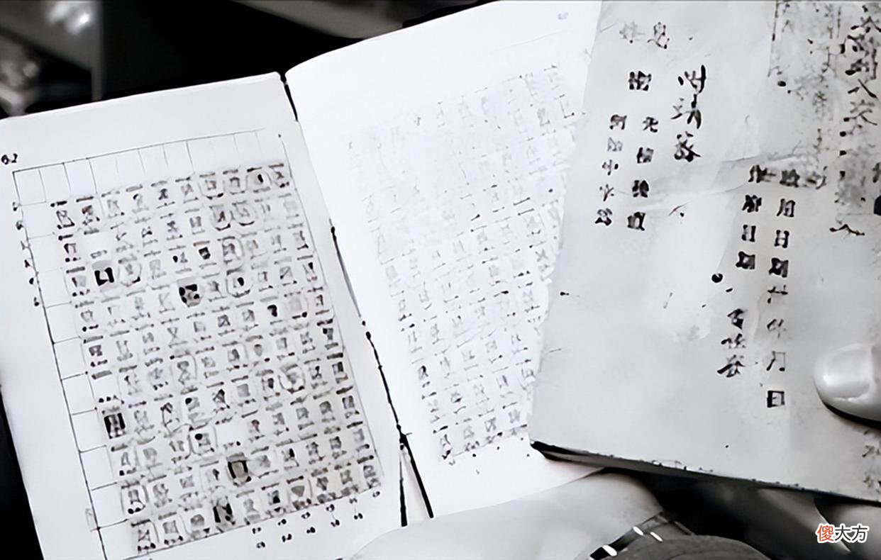 【爱历史】民国特务“乌梅”：留下一串密钥64年无解，曾孙女破译后瞬间失声