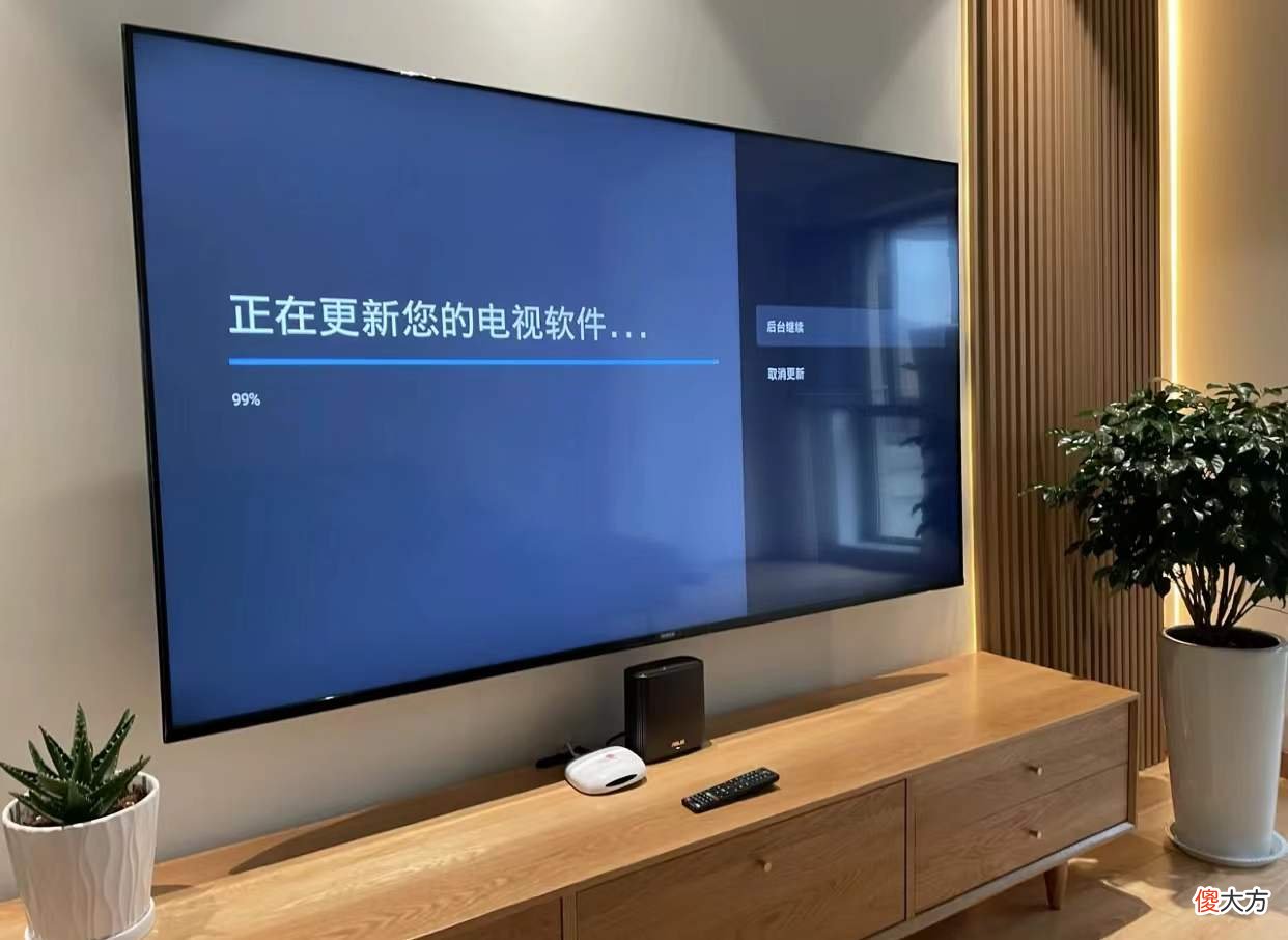 我买了两台电视 她们买的电视机