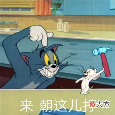 适合存图的很快乐的表情| 适合存图的很快乐的表情