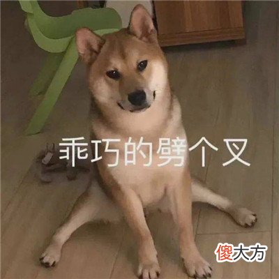 适合存图的很快乐的表情| 适合存图的很快乐的表情