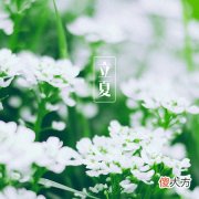 2022立夏唯美高清又有意境的素材| 2022立夏唯美高清又有意境的素材
