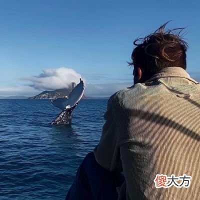 2022很有气势的背影男头超酷| 2022很有气势的背影男头超酷