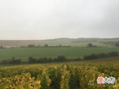 酒是谁创造的 酒和你的后劲一样大