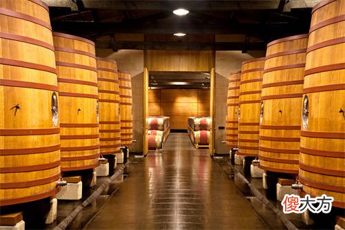 进口红酒怎么查品牌 进口红酒性价比高的品牌有哪些
