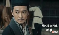 【历史故事】《风起陇西》两个细节漏洞：三个环节都有可能掉包，为何却不调查林良？