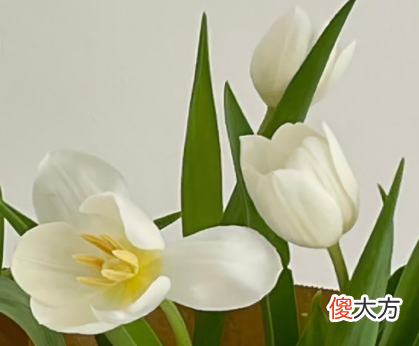 最真实的霸气个性签名| 最真实的霸气个性签名