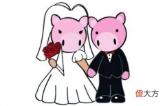 95年属猪一生有几次婚姻