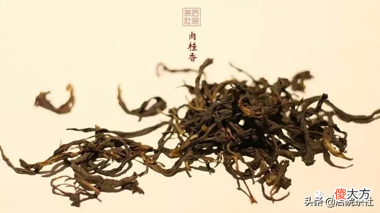 凤凰单丛10大香型的都是哪些茶 凤凰单丛茶都有什么香型