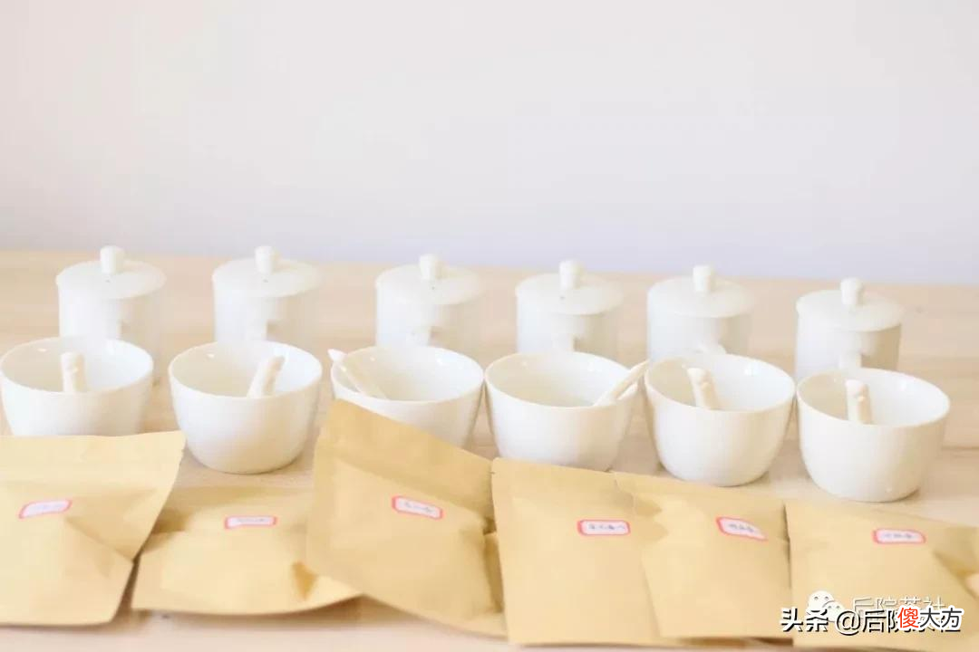凤凰单丛10大香型的都是哪些茶 凤凰单丛茶都有什么香型