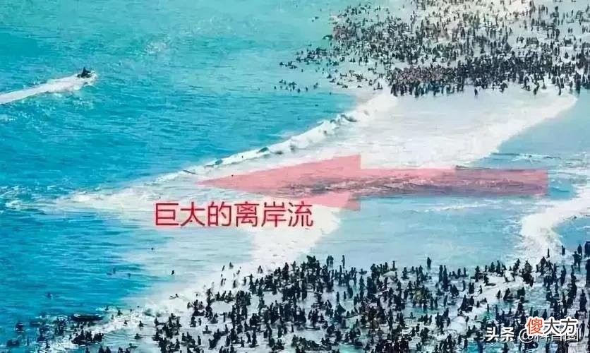 大海有多可怕 大海里到底有多可怕