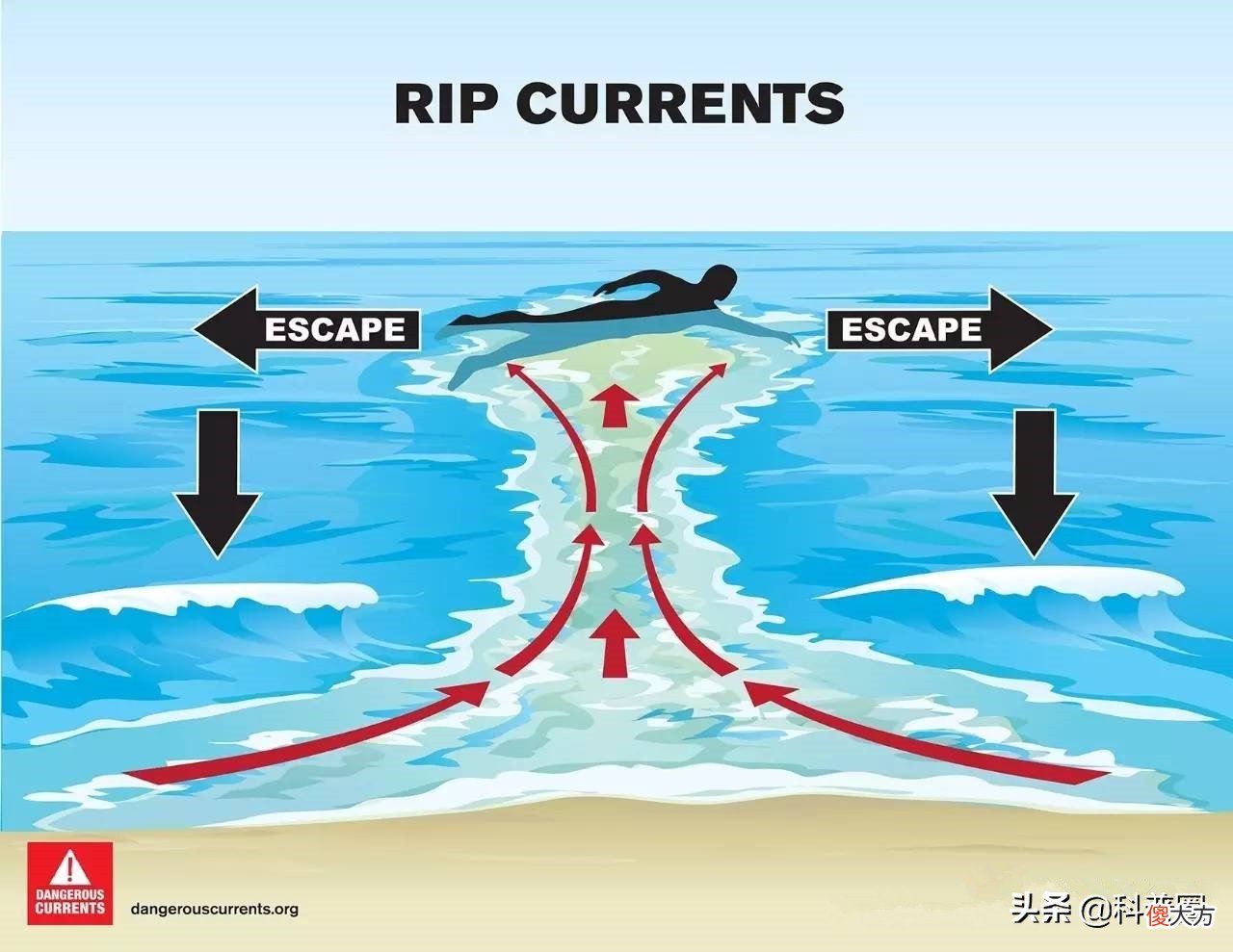 大海有多可怕 大海里到底有多可怕