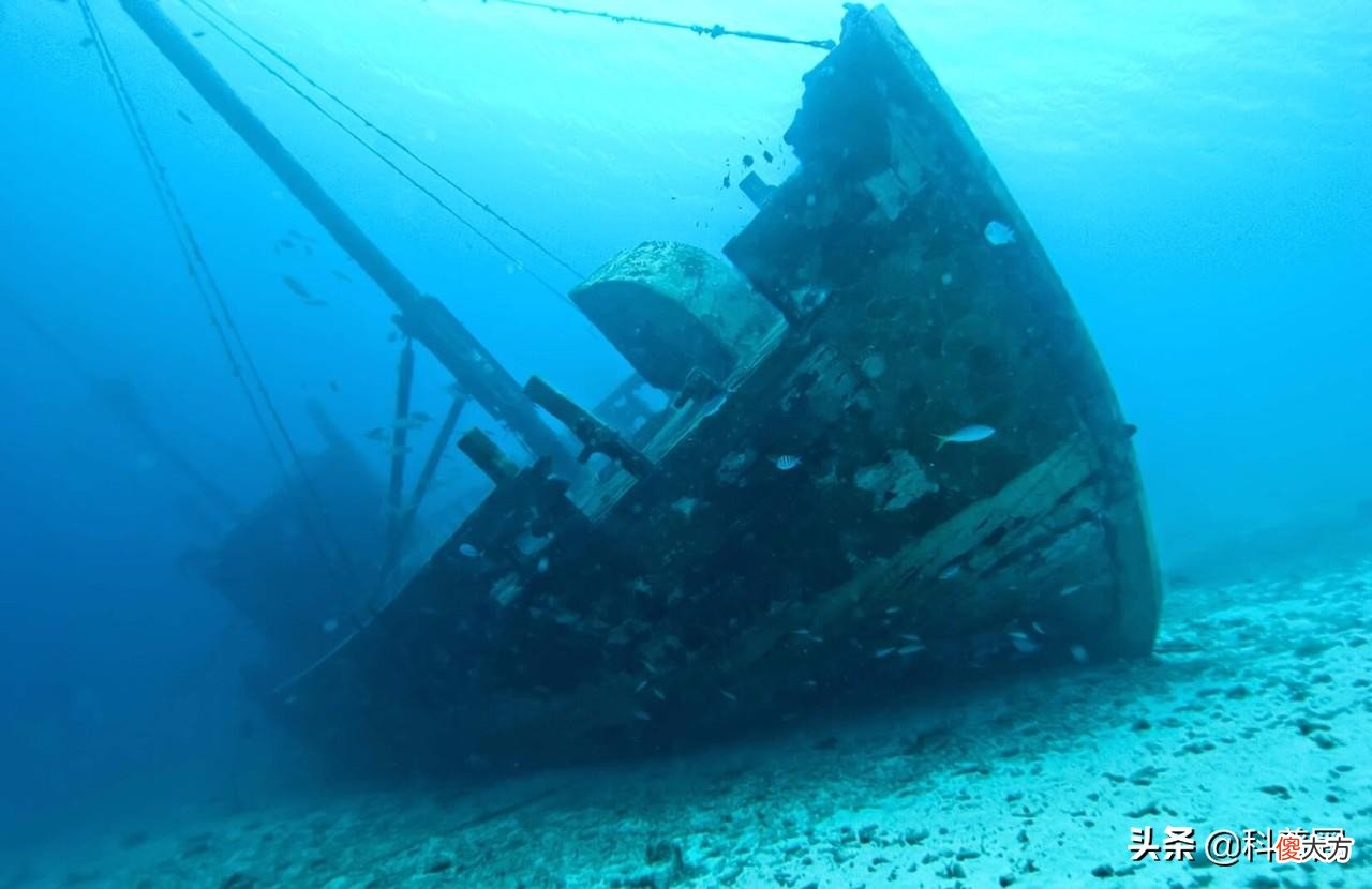 大海有多可怕 大海里到底有多可怕