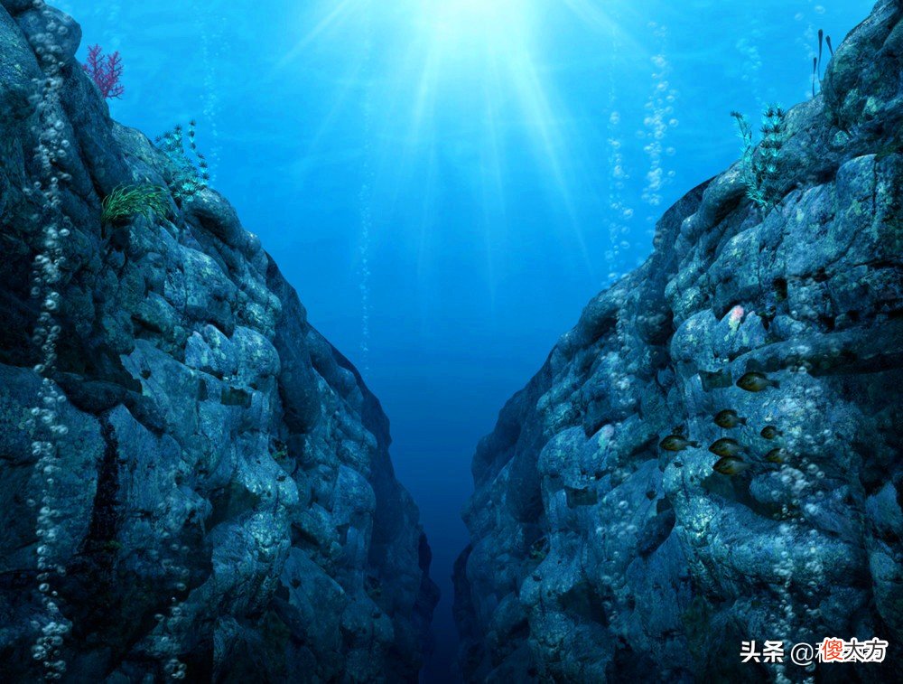 大海有多可怕 大海里到底有多可怕